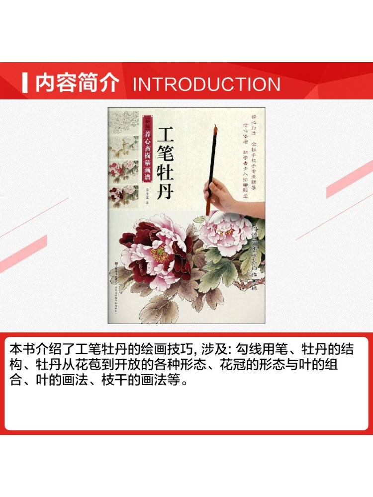 Libro-Winshare: Pittura con pe - Photography Techniques recensione e prezzo