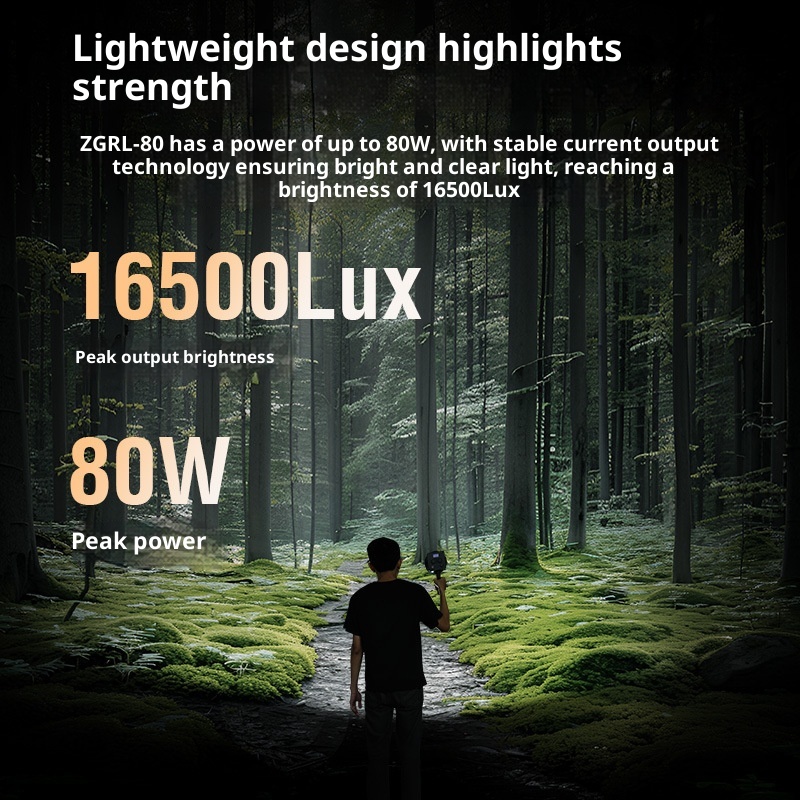 ZGRL80 80W COB LED Video Light - Camera Battery Grip recensione e prezzo